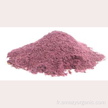 Poudre de chou violet pur